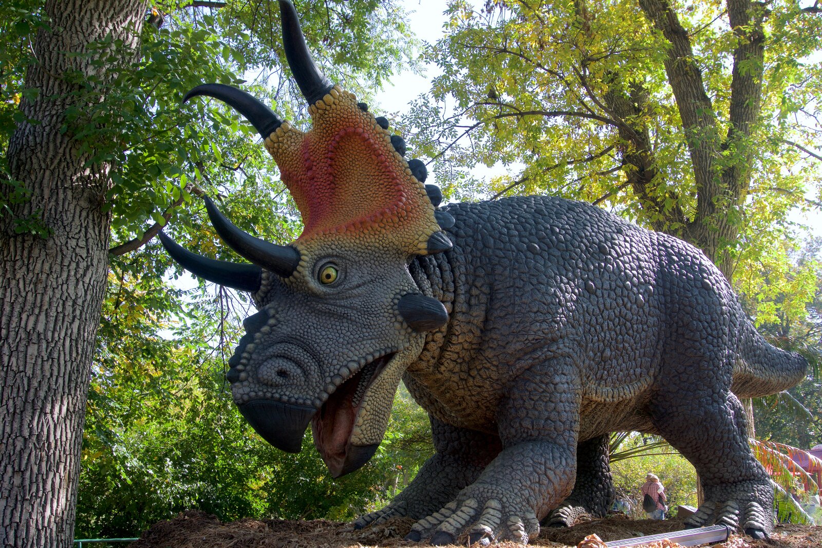 large.Diabloceratops.jpg.e0b8b53afa717d7