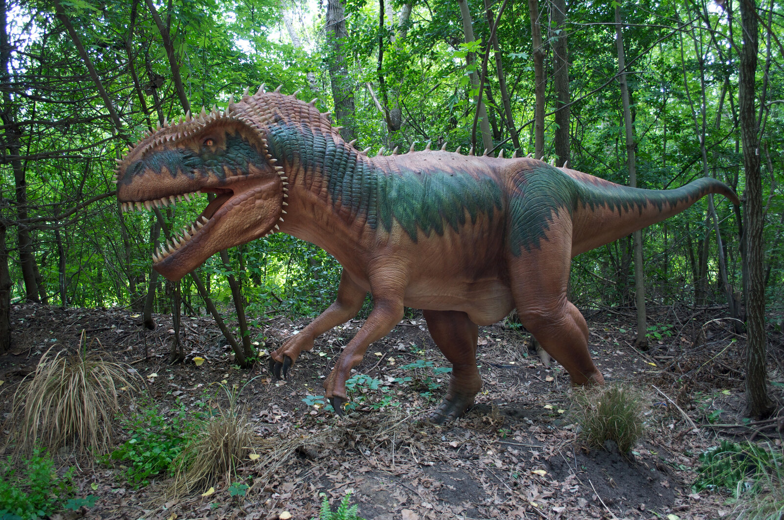 large.Megalosaurus.jpg.47e7093e95d633dc8